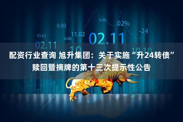 配资行业查询 旭升集团：关于实施“升24转债”赎回暨摘牌的第十三次提示性公告