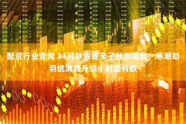 配资行业查询 11月秋假促亲子秋游崛起，寒潮助羽绒消费升级｜封面有数