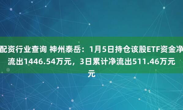 配资行业查询 神州泰岳：1月5日持仓该股ETF资金净流出1446.54万元，3日累计净流出511.46万元