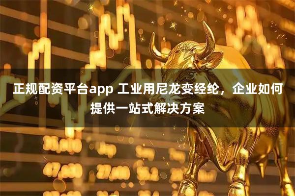 正规配资平台app 工业用尼龙变经纶，企业如何提供一站式解决方案
