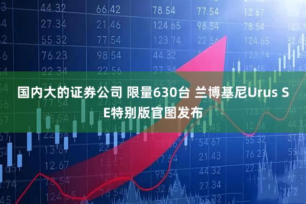 国内大的证券公司 限量630台 兰博基尼Urus SE特别版官图发布
